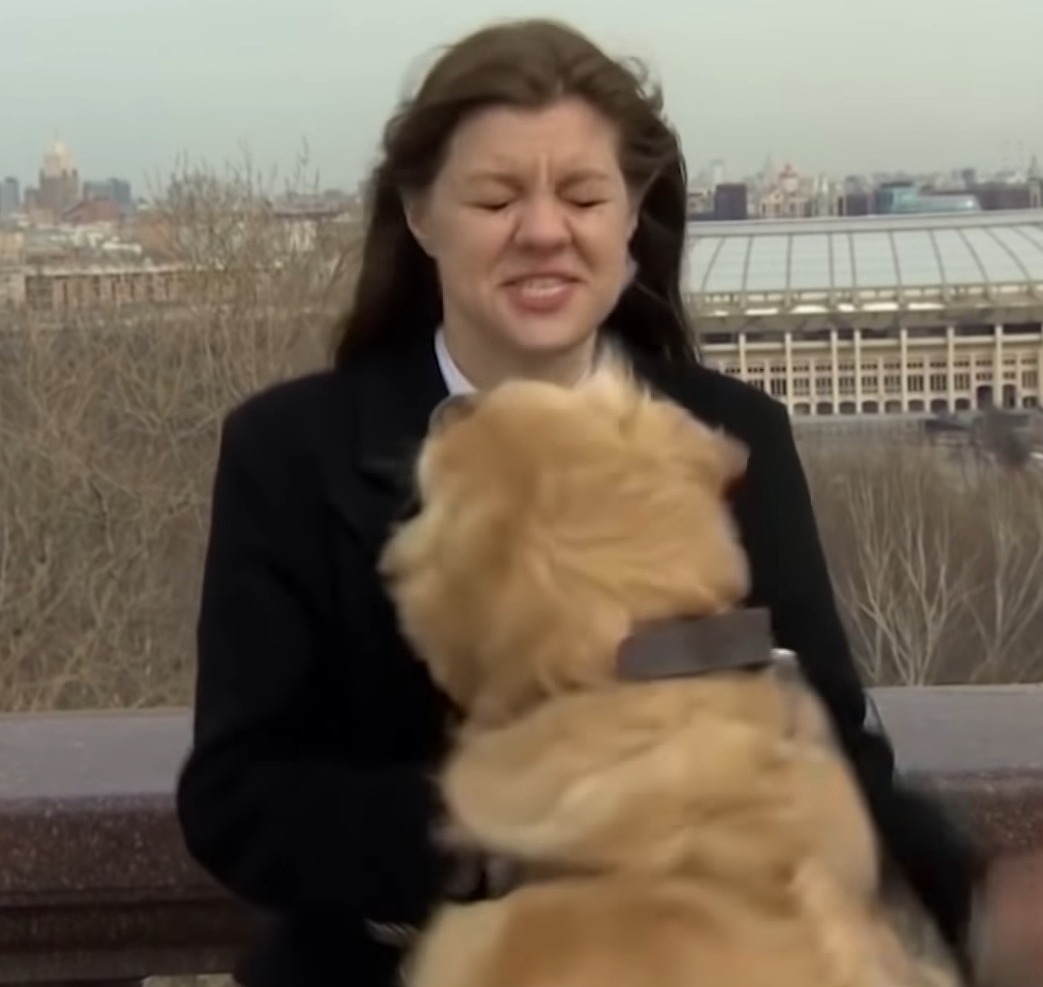 Σκύλος έκλεψε μικρόφωνο από παρουσιάστρια